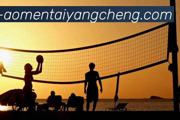 多媒体互动体验