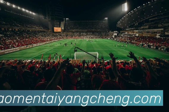 澳门太阳城娱乐APP 体育赛事宣传图